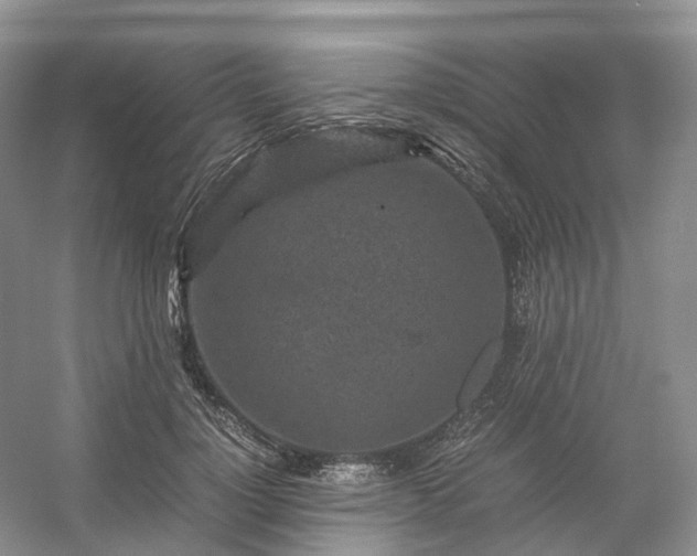 X0000054370748200508051555