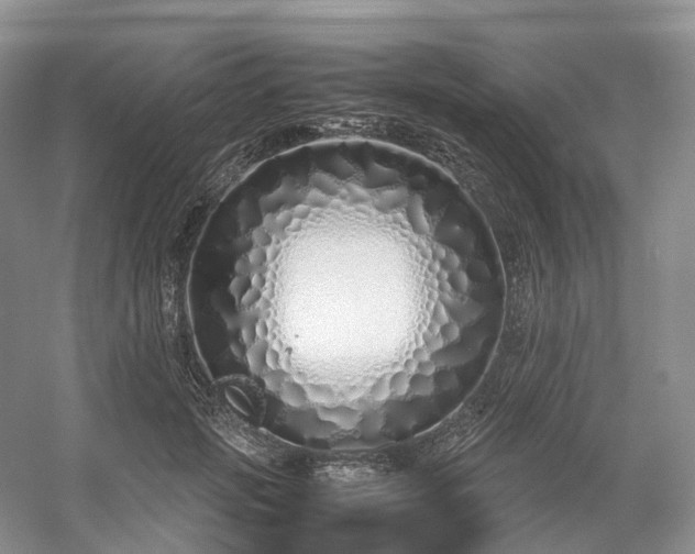 X0000054370749200508051555