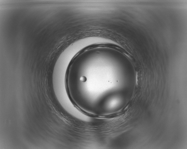 X0000054370750200508051555