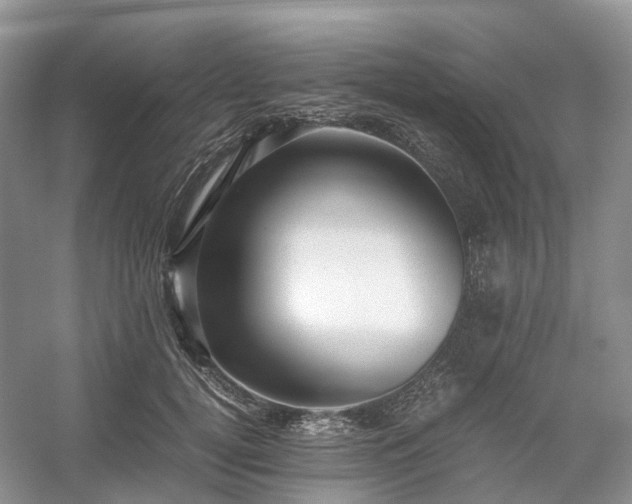 X0000054370752200508051555