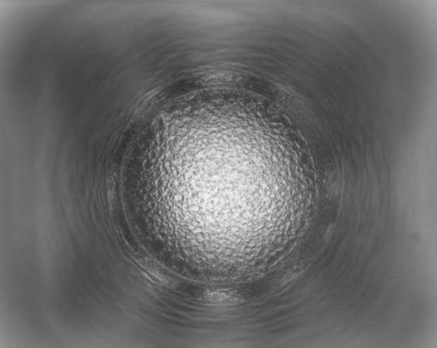 X0000054370753200508051555