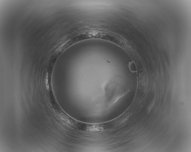 X0000054370754200508051555