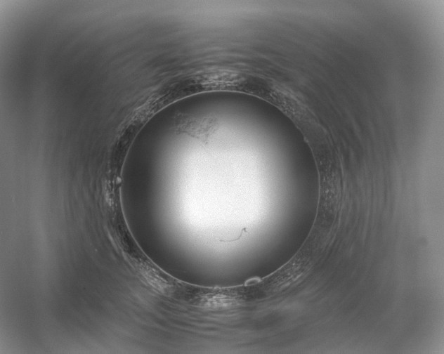 X0000054370755200508051555