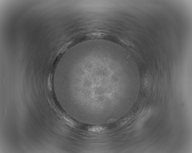 X0000054370759200508051555