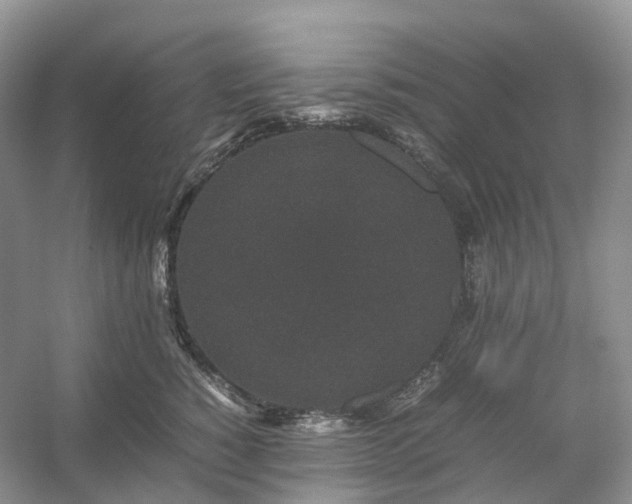 X0000054370760200508051555