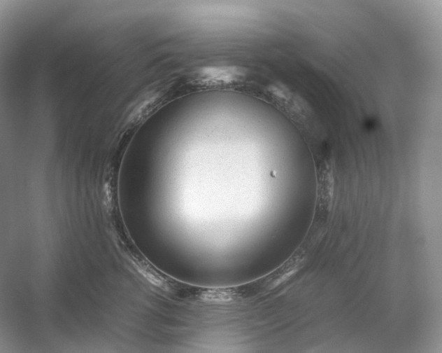 X0000054370762200508051555