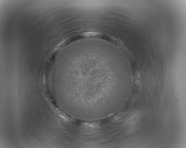 X0000054370763200508051555