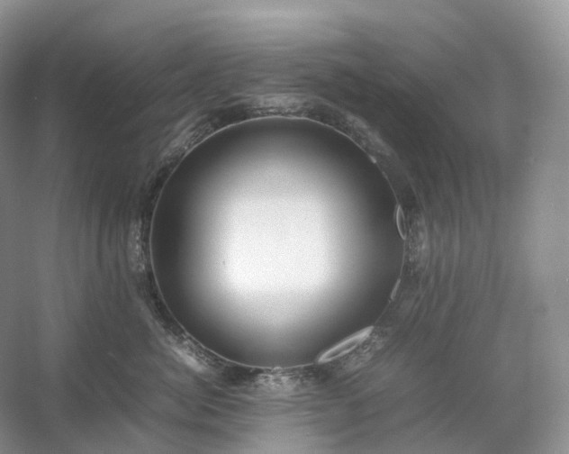 X0000054370764200508051555