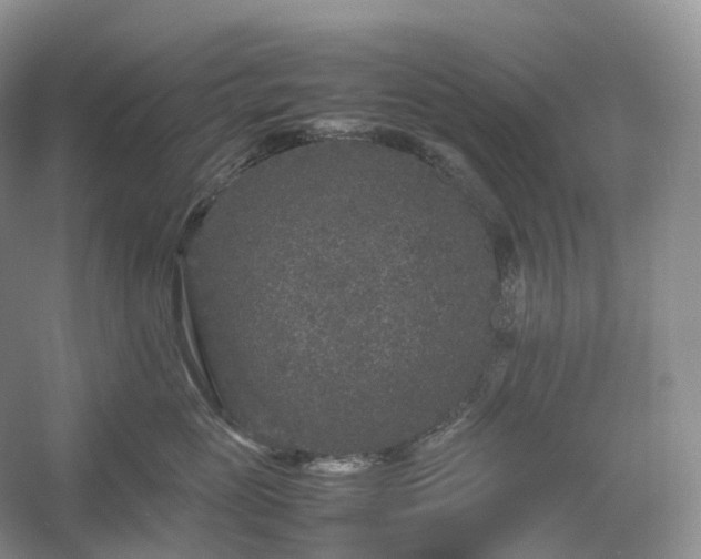 X0000054370765200508051555