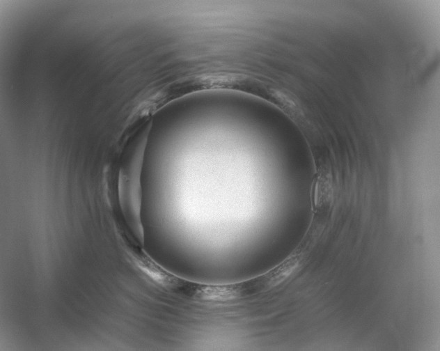 X0000054370766200508051555