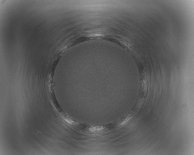 X0000054370767200508051555