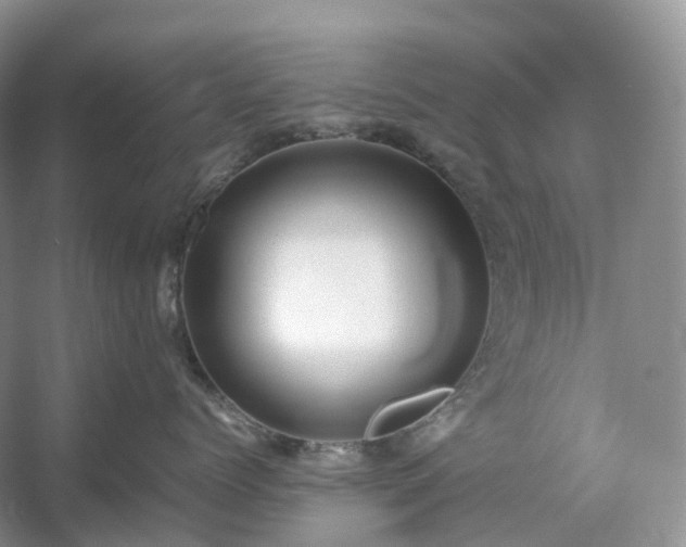 X0000054370768200508051555