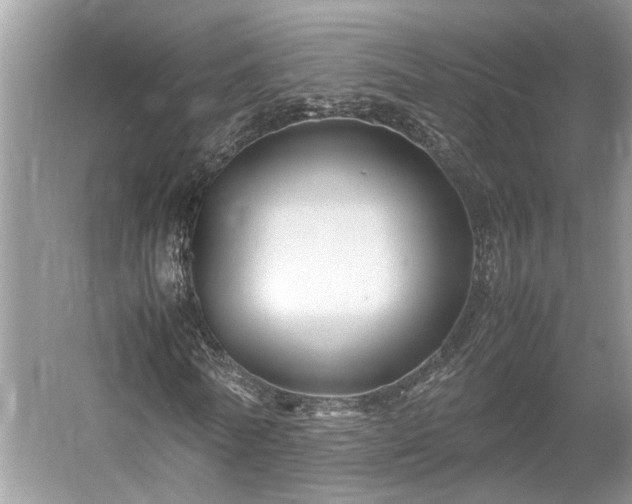 X0000054370770200508051554