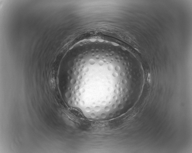 X0000054370771200508051554