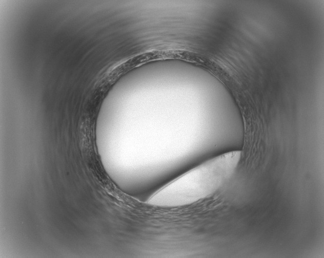 X0000054370773200508051554