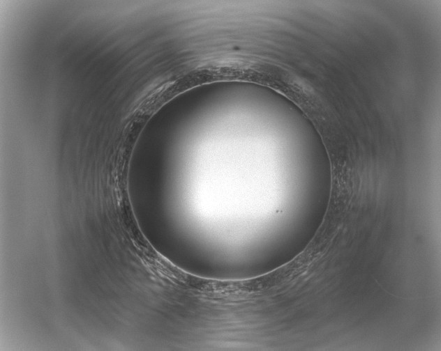 X0000054370774200508051554