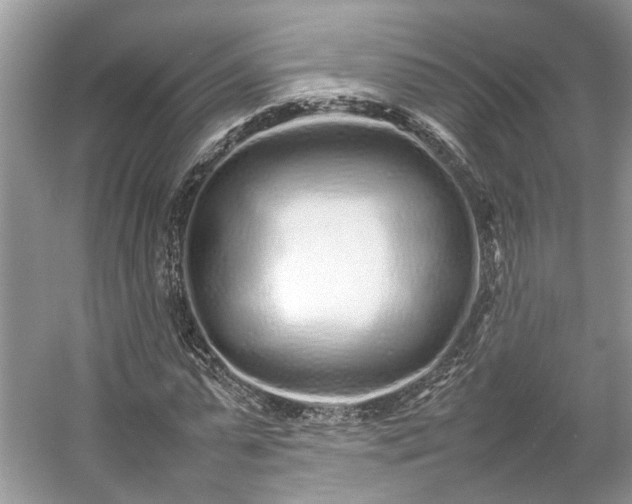 X0000054370775200508051554