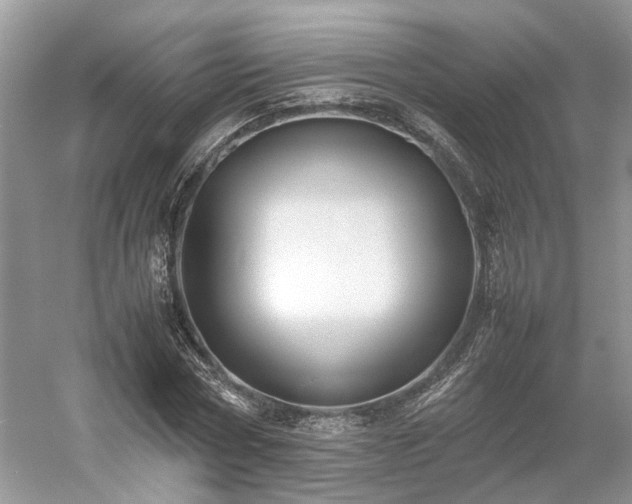 X0000054370778200508051554