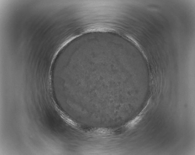 X0000054370779200508051554