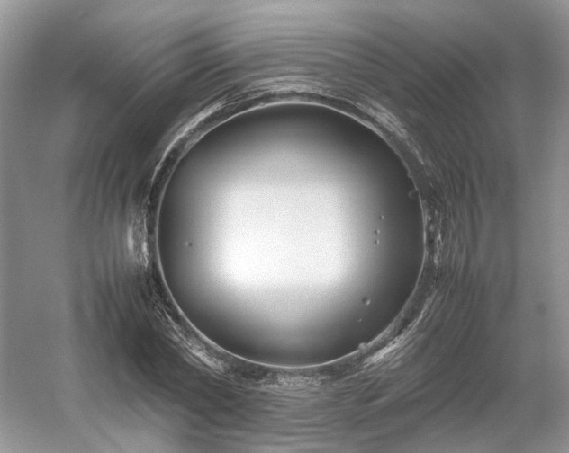 X0000054370782200508051554