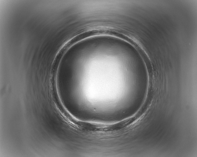 X0000054370783200508051554