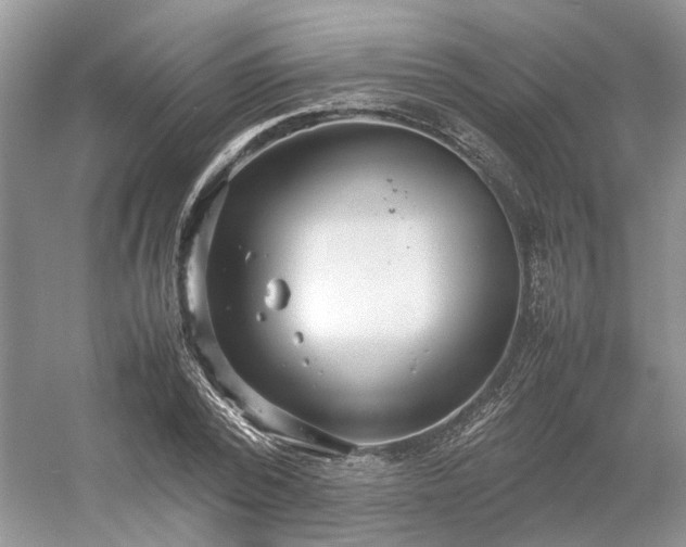 X0000054370784200508051554