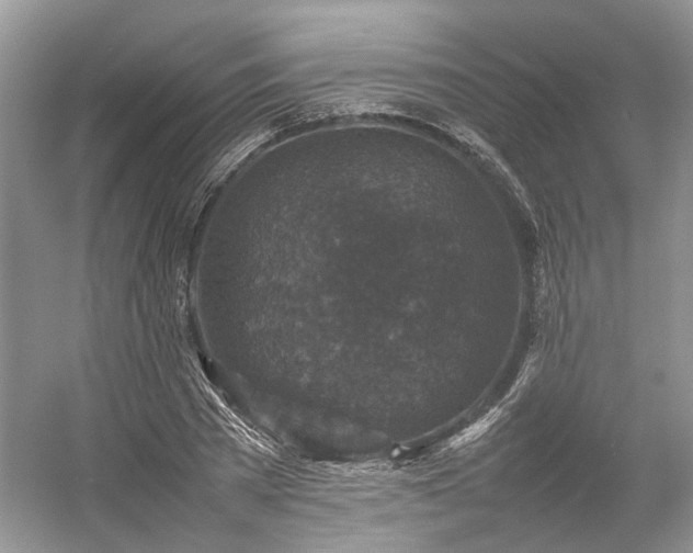 X0000054370785200508051554