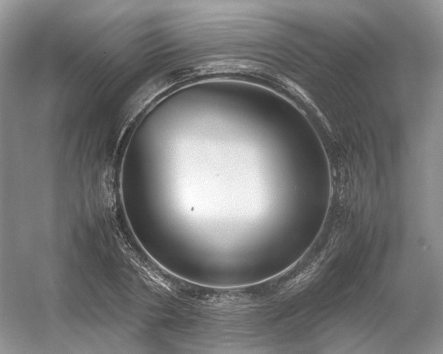 X0000054370786200508051554