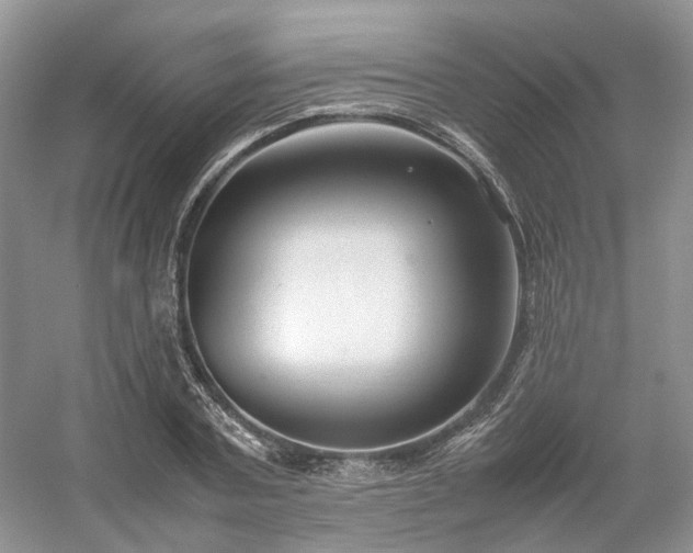 X0000054370787200508051554