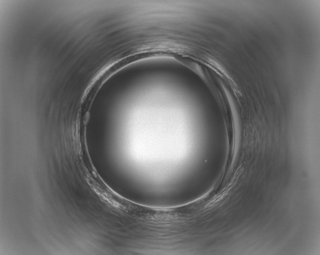 X0000054370788200508051554