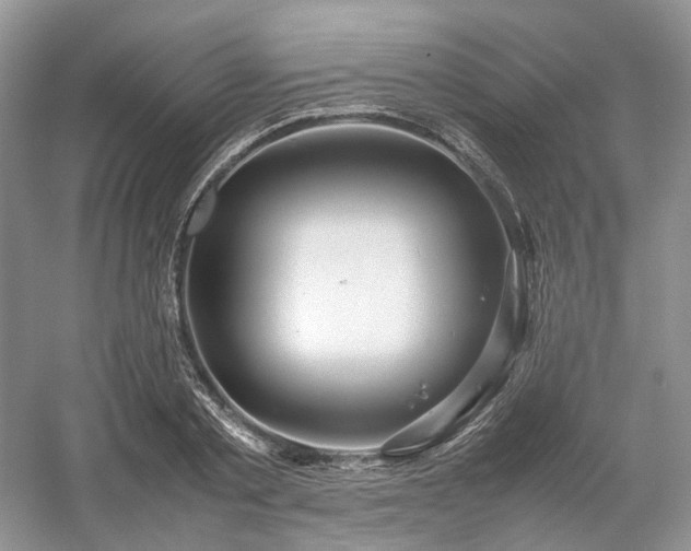 X0000054370789200508051554