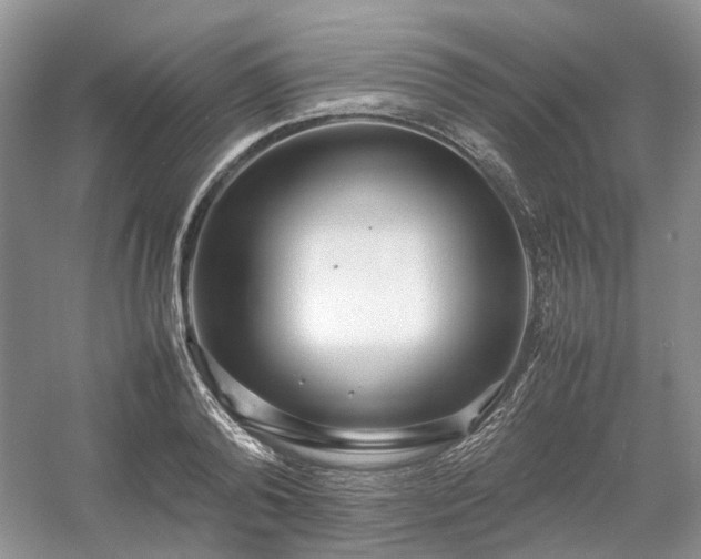 X0000054370792200508051554