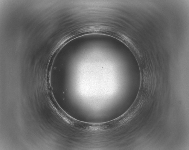 X0000054370794200508051554