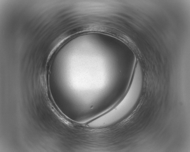 X0000054370796200508051554