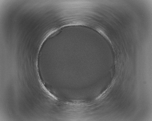 X0000054370797200508051554