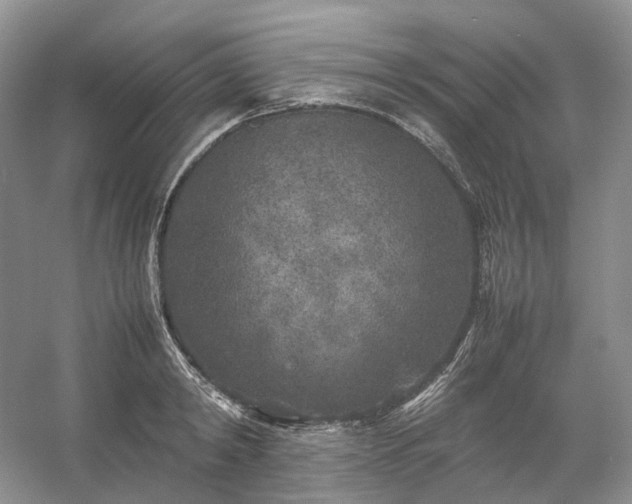 X0000054370798200508051554