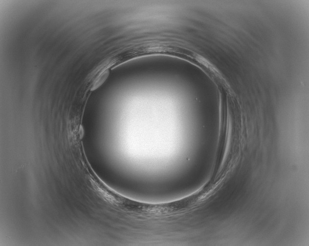 X0000054370801200508051553