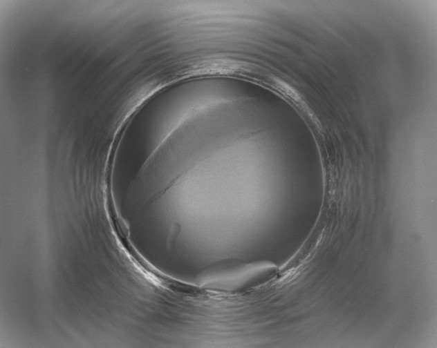 X0000054370802200508051553