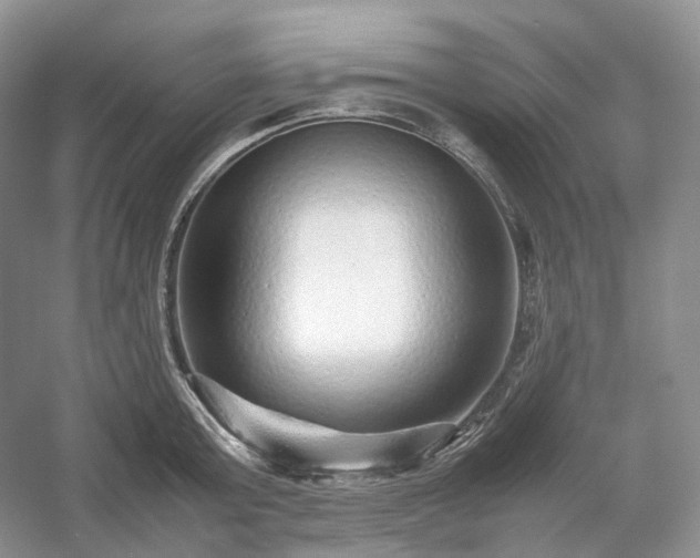 X0000054370803200508051553