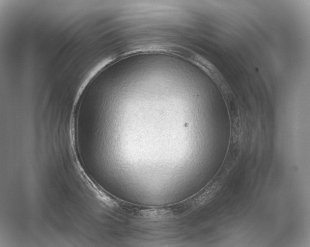 X0000054370804200508051553