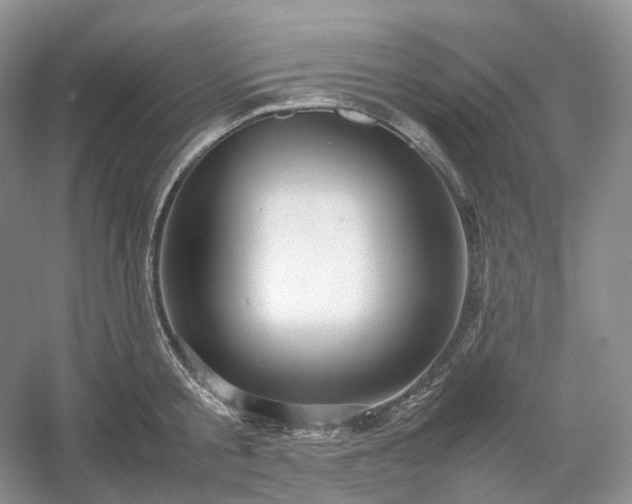 X0000054370805200508051553