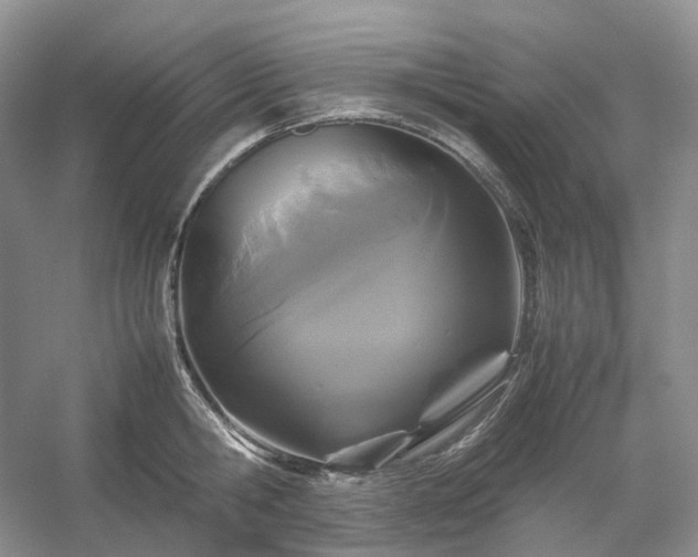 X0000054370806200508051553