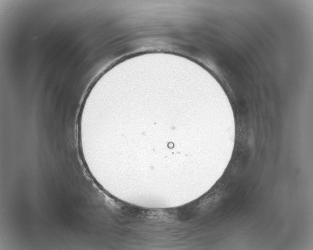 X0000054370807200508051553