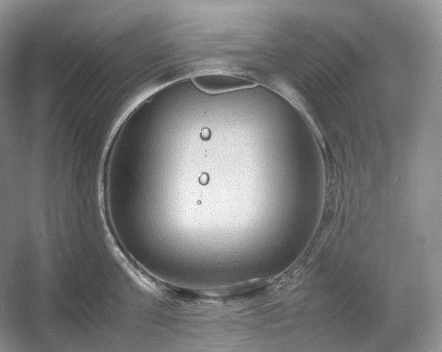 X0000054370811200508051553