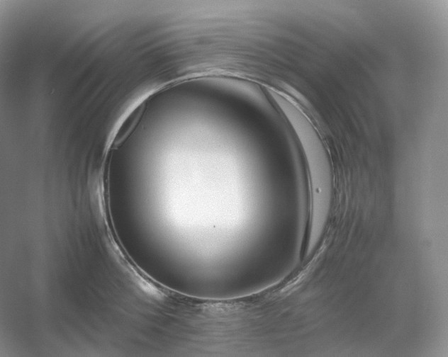 X0000054370812200508051553