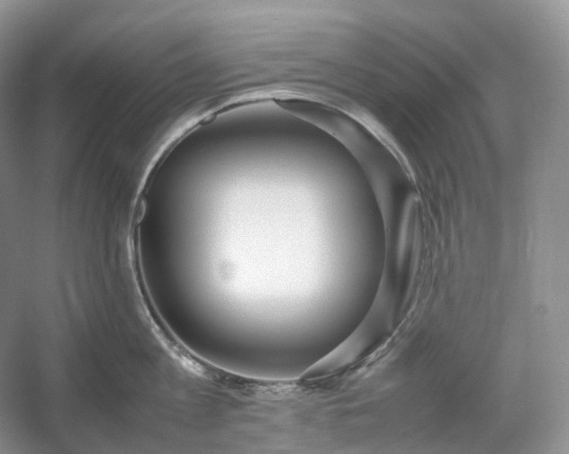 X0000054370813200508051553