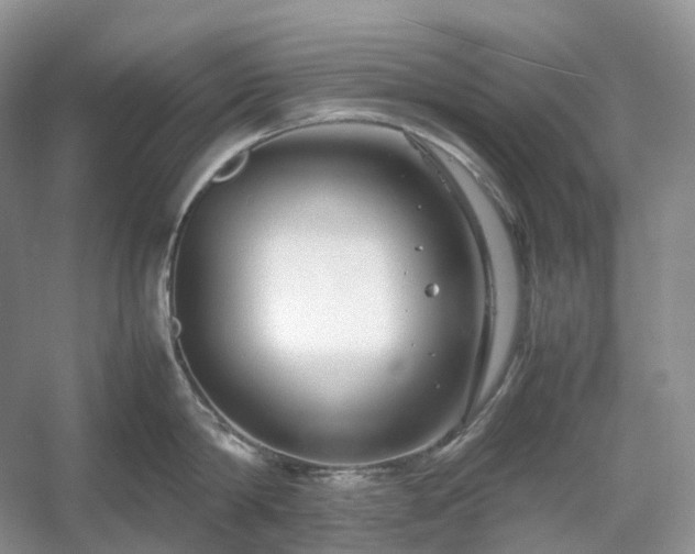 X0000054370814200508051553