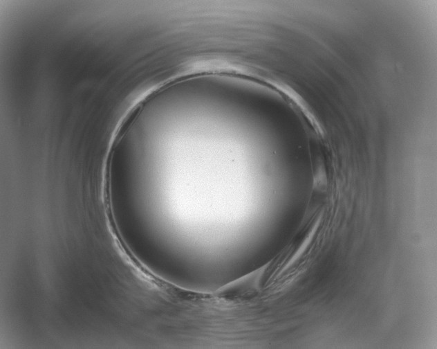 X0000054370815200508051553