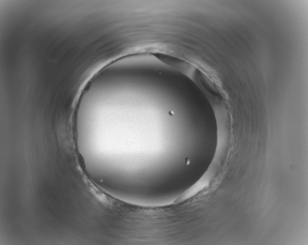 X0000054370816200508051553