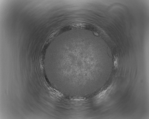 X0000054370819200508051552